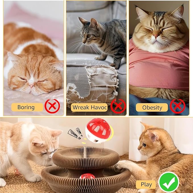 2Pcs Magic Organ Cat Scratcher Toy, Extra-Thick & Large Connectable Cardboard - Image 3