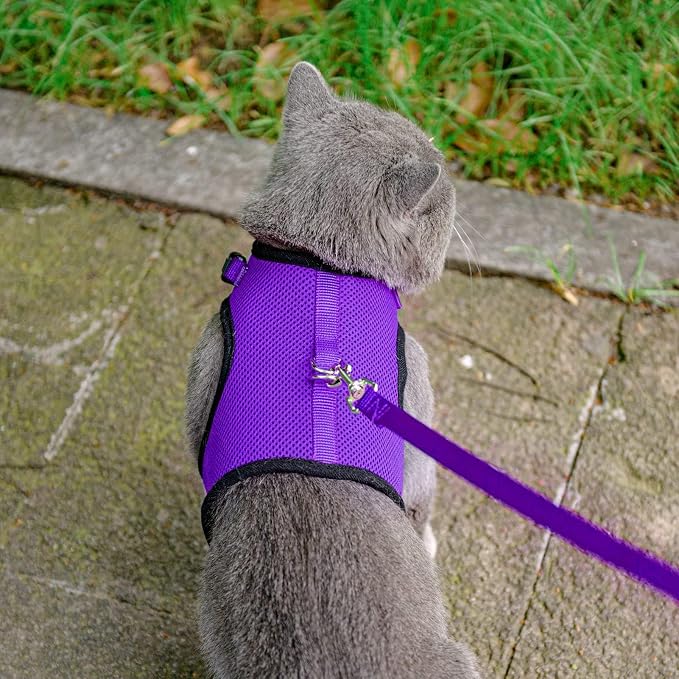 PUPTECK Soft Mesh Cat Vest Harness and Leash Set Puppy Padded Pet Harnesses - Image 6