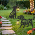 Solar Lights Garden Decor by LIRAVENO