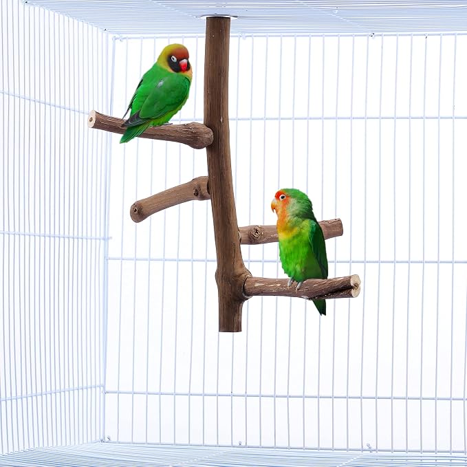 CozyCabin Natural Bird Perch Stand - Image 2