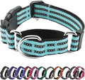 Hikiko Martingale Dog Collars Reflective Nylon Dog Collar by Hikiko