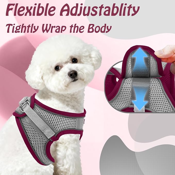 AIITLE Step in Dog Harness and Leash Set - Image 7