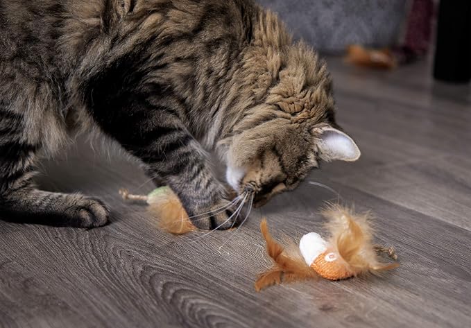 Petlinks HappyNip Love Birds Cat Toys, Contains Silvervine & Catnip - Image 7