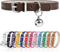 XXS Dog Collar for Teacup Adjustable Teacup Dog Collar for Small Medium Large by Engorgio