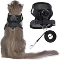 AirTag Cat Harness and Leash for Walking, Integrated Cat Vest by FURRIGO