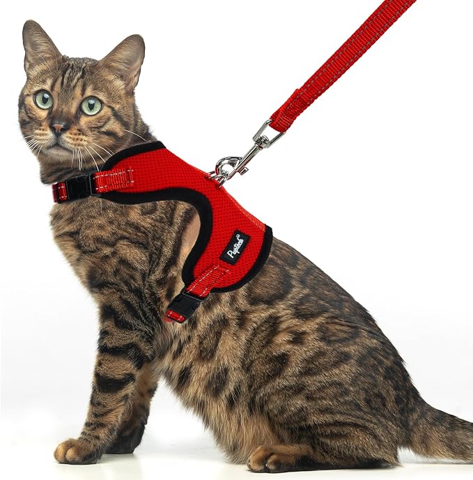 PUPTECK Cat Harness and Leash Set Escape Proof, Reflective Adjustable Soft Mesh by PUPTECK