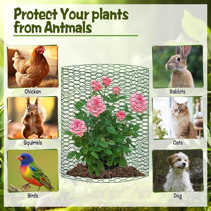 CIEOVO 32.8ft × 15.74 inches Wire Plant Protector from Animals, Metal Mesh - Image 3