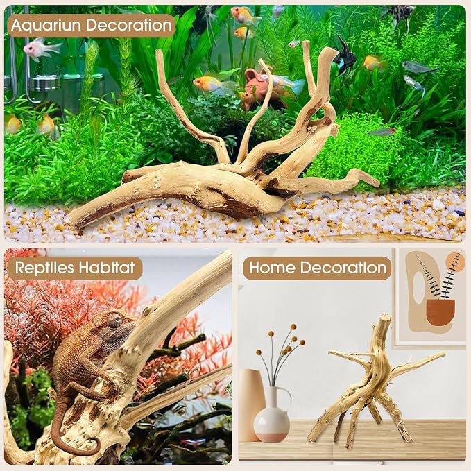 Jorewood Natural Small Spiderwood Driftwood - Image 4