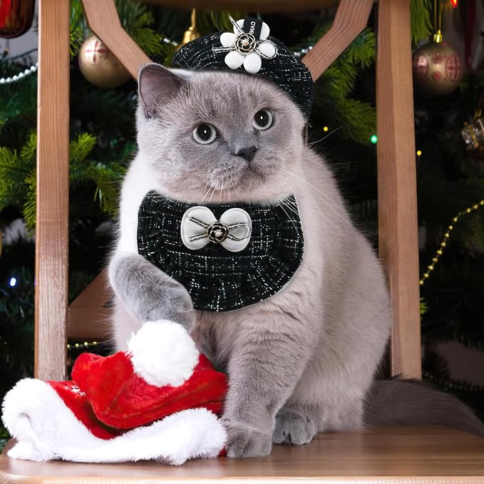 HOWWFALY 2PCS Cat Beret Hat - Image 3