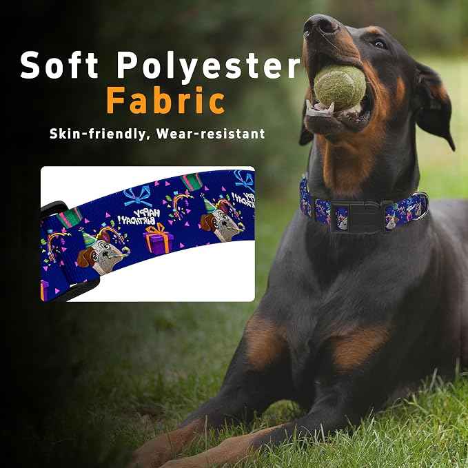 Dog Collar, Classical Birthday Gift Boys Girls Puppy Collar