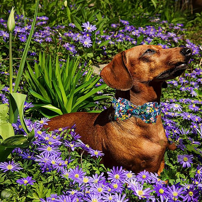 Lionheart glory Dog Collar Darkblue Flower Dog Bow Collars Floral Dog Collar - Image 4