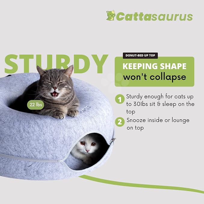 Cattasaurus Peekaboo Cat Cave Donut - Image 3