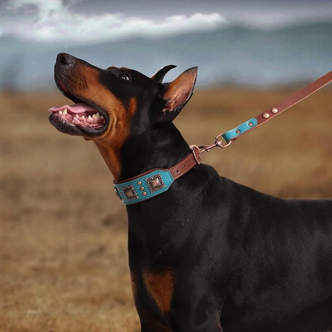 PET ARTIST Upgrade Padded Leather Dog Collar, 2 inch Wide Genuine Leather Dog - Image 2