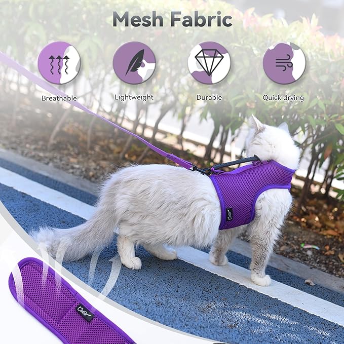 Cat Harness and Leash for Walking Escape Proof Breathable Mesh Fabric, Extra - Image 4