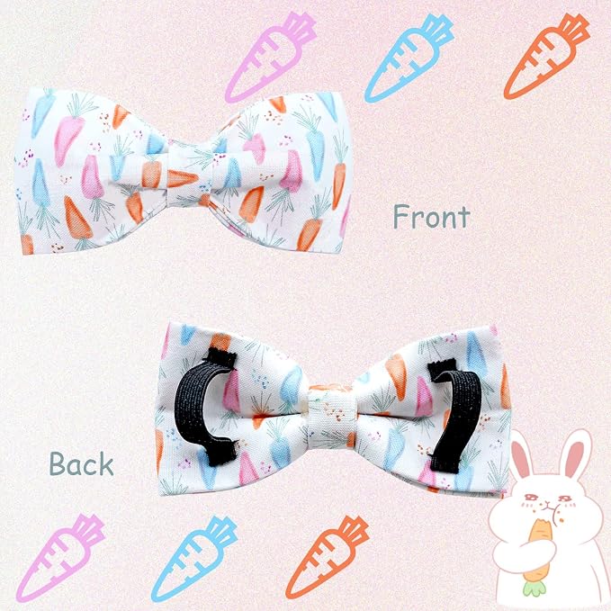 Lionheart glory Easter Dog Collar - Image 4