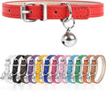 S Dog Collar for Small Dogs Adjustable Dog Collars Cat Collar for Small Medium by Engorgio