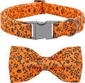 Halloween Dog Collar, Pet Collar Bow Pumpkin Collars Girl Boy Holiday Pet by BoboRainbow