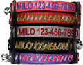 Pawtitas Personalized Black Reflective Cat Collar – Adjustable Custom Collar by Pawtitas