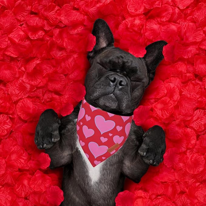 PTDECOR Valentine Dog Bandana, Reversible Valentine Pet Scarf - Image 2