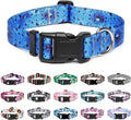 Mercano Adjustable Dog Collar