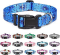 Mercano Adjustable Dog Collar by Unknown