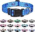 Mercano Adjustable Dog Collar by Unknown