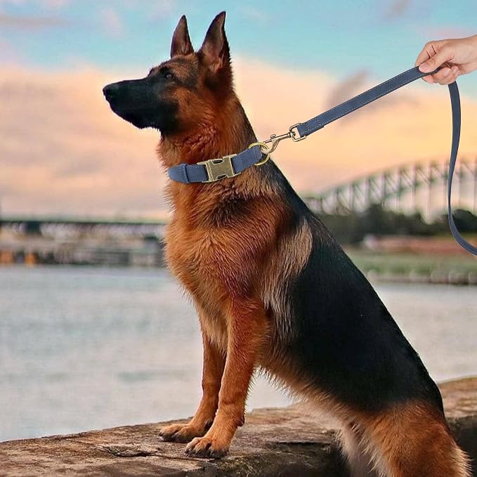 Didog Soft PU Leather Dog Collar, Stylish Quick Released Dog Collars - Image 3
