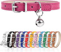 XXS Dog Collar for Teacup Adjustable Teacup Dog Collar for Small Medium Large by Engorgio
