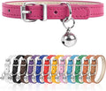 XS Dog Collar for Teacup Adjustable Teacup Dog Collar for Small Medium Large by Engorgio