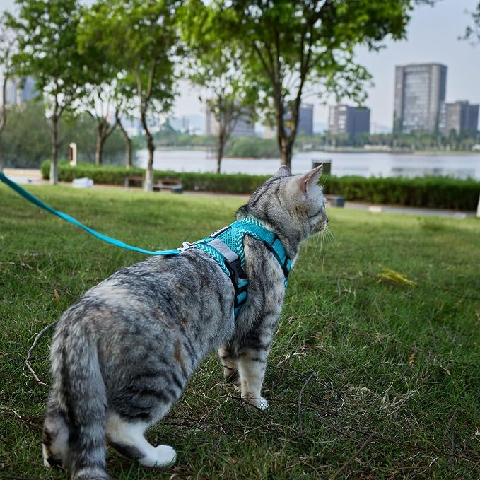 Cat Harness and Leash Escape Proof Large Kitten Harness Ragdoll Cat Vest - Image 2