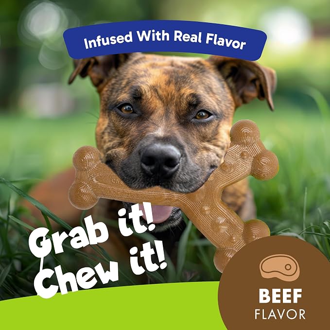Chew'ems Durable Chewy Dog Toys | Long-Lasting & Flavorful Chew Dog Toys - Image 2