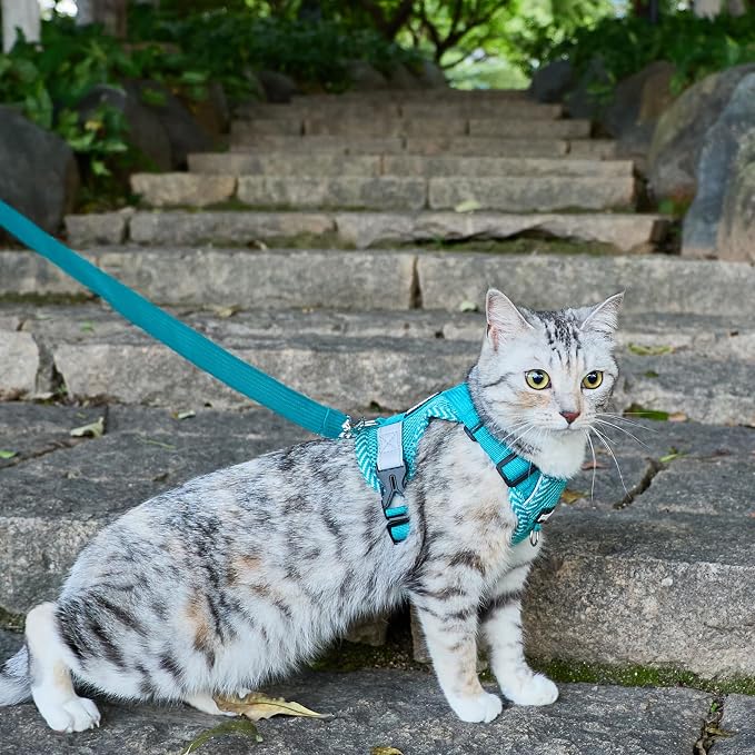 Cat Harness and Leash Escape Proof Small Kitten Harness Abyssinian Cat Vest - Image 8