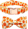 Dog Collars - Halloween Pumpkin Bowtie Dog Collar Gift Soft Bow Collar Pet by BoboRainbow