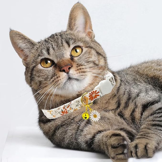 2 Pack Cotton Breakaway Cat Collars Set - Image 6