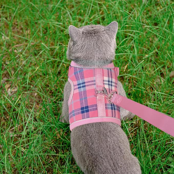 PUPTECK Soft Mesh Cat Vest Harness and Leash Set Puppy Padded Pet Harnesses - Image 6