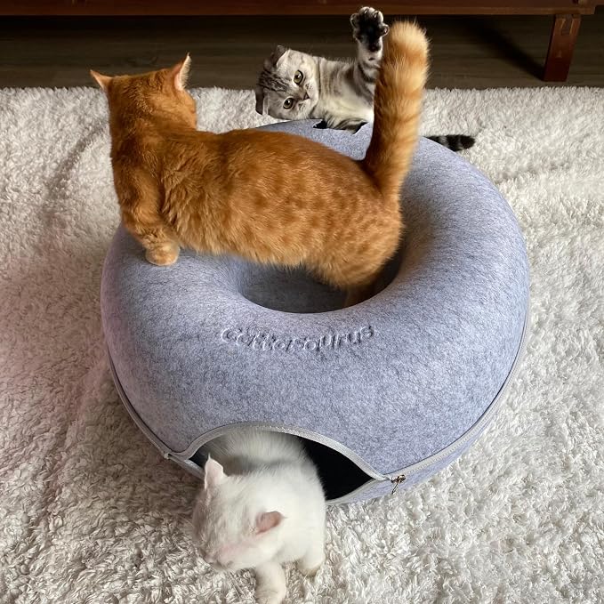 Cattasaurus Peekaboo Cat Cave Donut - Image 4