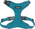 Voyager Step-in Pet Harness by BestPetSuppliesLLC