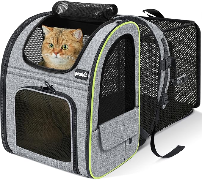 Pecute Cat Backpack Carrier Expandable, Foldable Pet Backpack by pecute