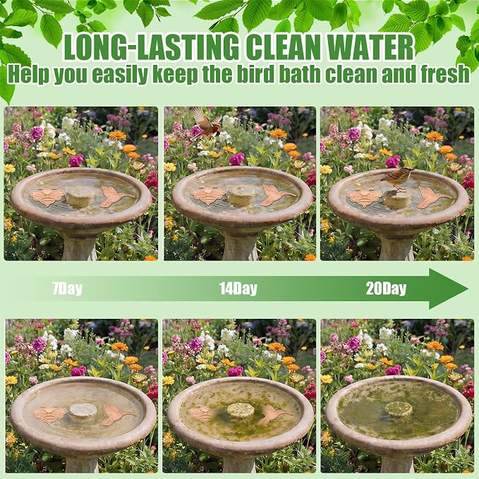 4 Pack Bird Bath Copper Disk Bird Bath Purification Disk - Image 6