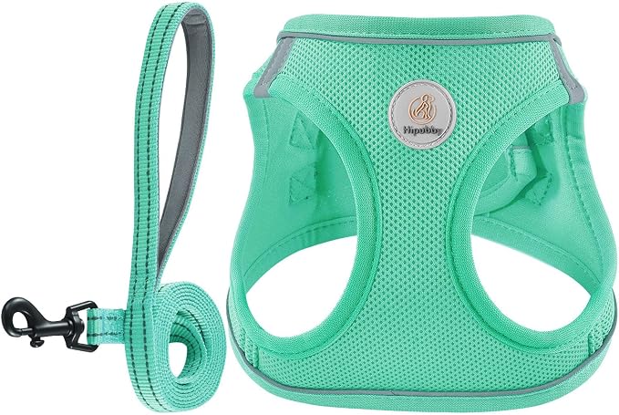 Hipubby Dog Harness and Leash Set, No Pull Soft Mesh Puppy Harness by Hipubby