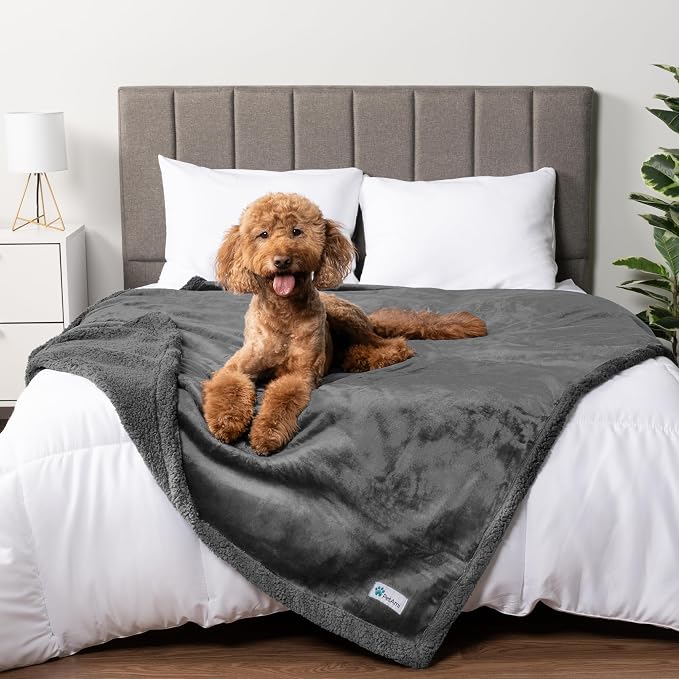 PetAmi Waterproof Dog Blanket for Queen Bed Large XL Dog Throw for Couch Cover by PetAmi