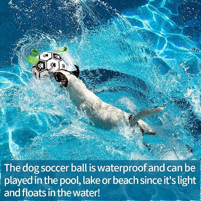 QDAN Dog Soccer Balls Toy with Bell Inside, Outdoor Interactive Dog Toys - Image 8