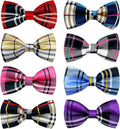 PET SHOW 8pcs Plaid Small Dogs Collar Bow Ties Puppies Cats Collar Charms by PETSHOW