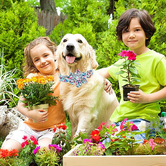 Lionheart glory Dog Collar Flowers Collar Floral Dog Collar - Image 5