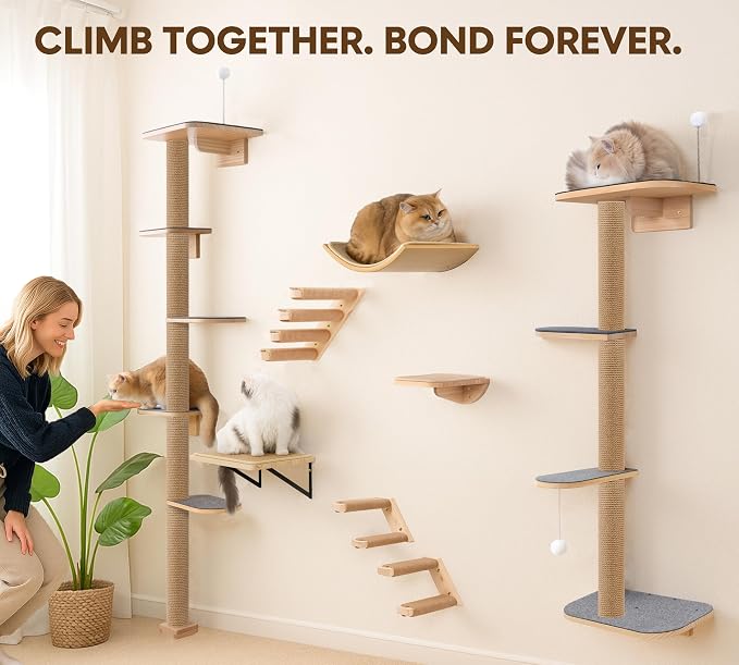5-Tier Floor-to-Ceiling Cat Tree Tower, Upgraded Grey Felt Kittens Wall Shelves - Image 6