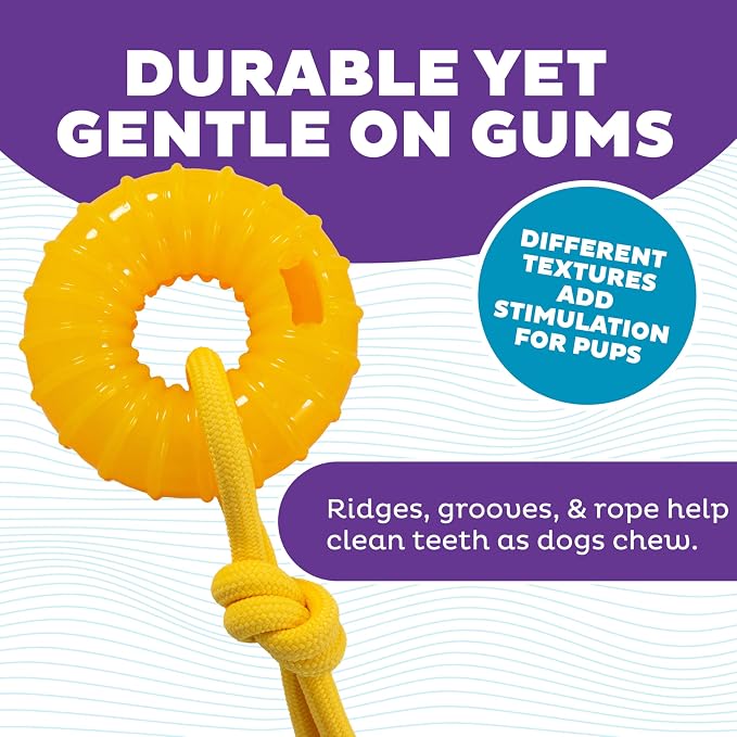 Outward Hound Gummiez Peach Ring 2-in-1 Dental Dog Chew Toy and Treat Stuffer - Image 3