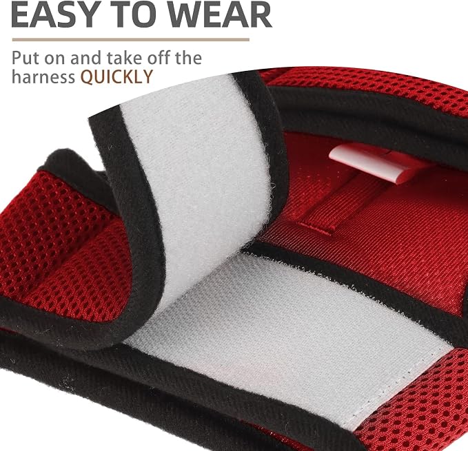PUPTECK Soft Mesh Cat Vest Harness and Leash Set Puppy Padded Pet Harnesses - Image 5