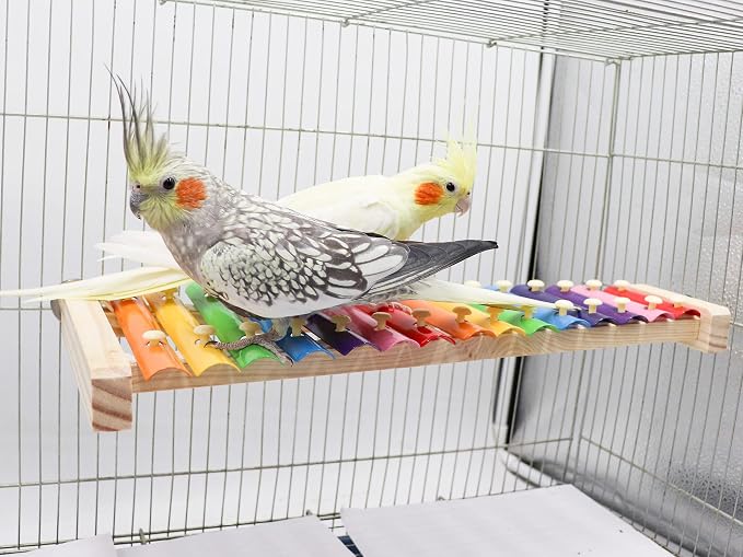 Dnoifne Colorful Bird Xylophone Toy, Funny Xylophone Toy - Image 3