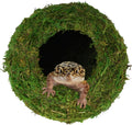 USMOLA 4" Woodland Green Mossy Reptile Caves - GlobalHabitat Supply