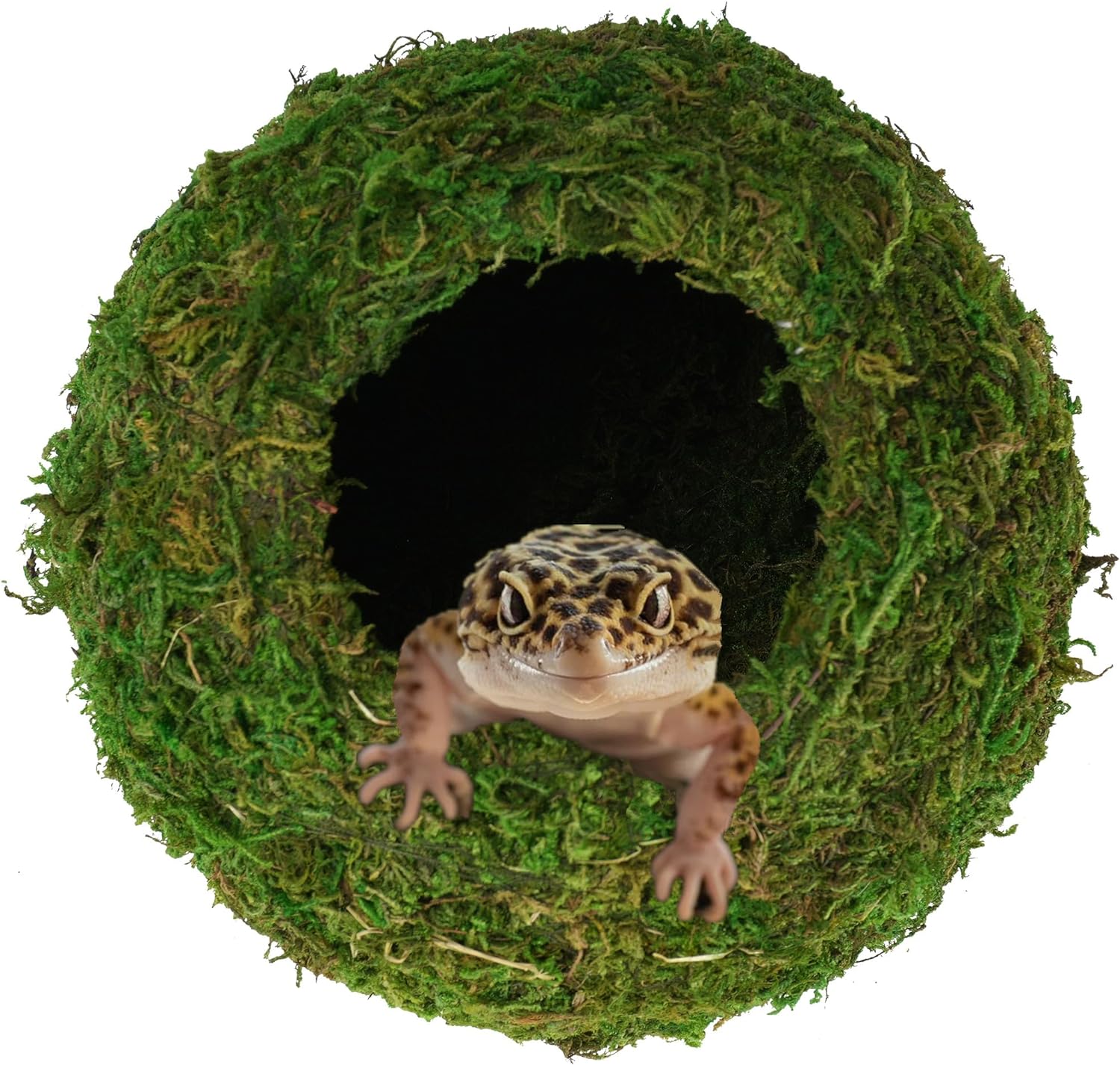 USMOLA 4" Woodland Green Mossy Reptile Caves - GlobalHabitat Supply